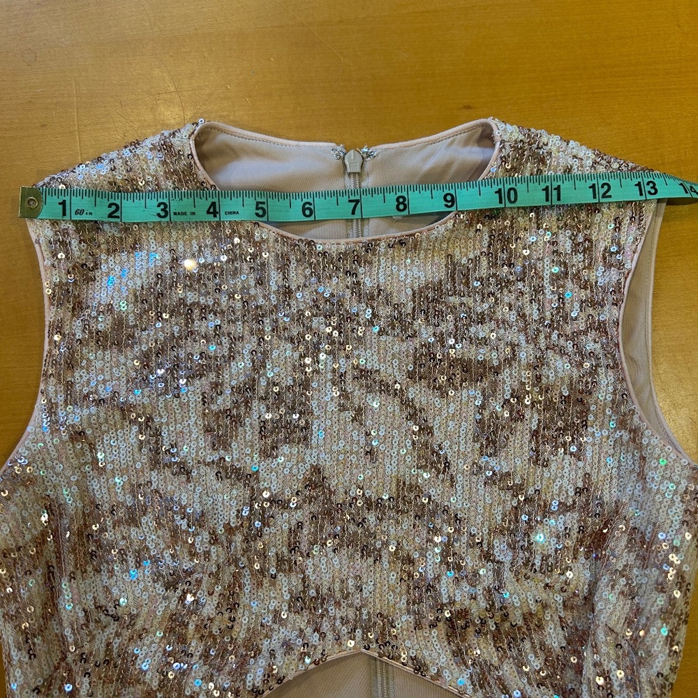 Blush Sequin Jumpsuit, Sho by Tadashi Soji, Size 4 - Picture 7 of 10